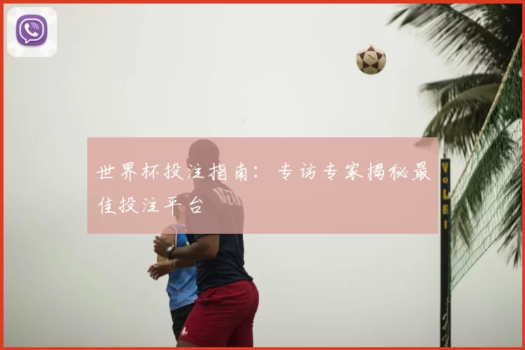 世界杯投注指南：专访专家揭秘最佳投注平台