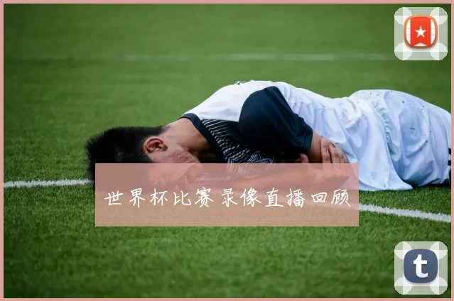 世界杯比赛录像直播回顾