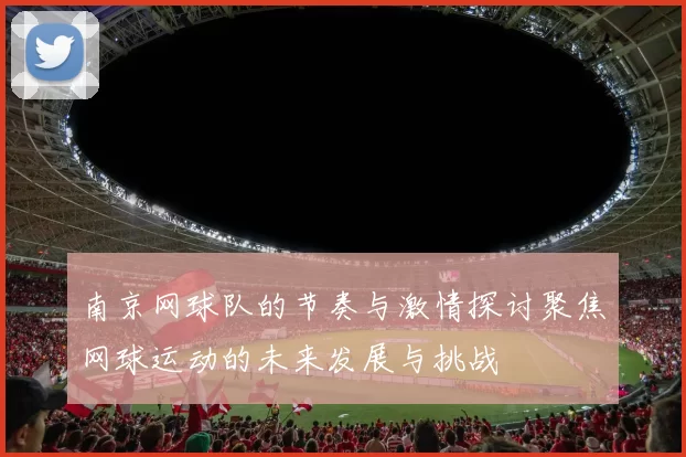 南京网球队的节奏与激情探讨聚焦网球运动的未来发展与挑战