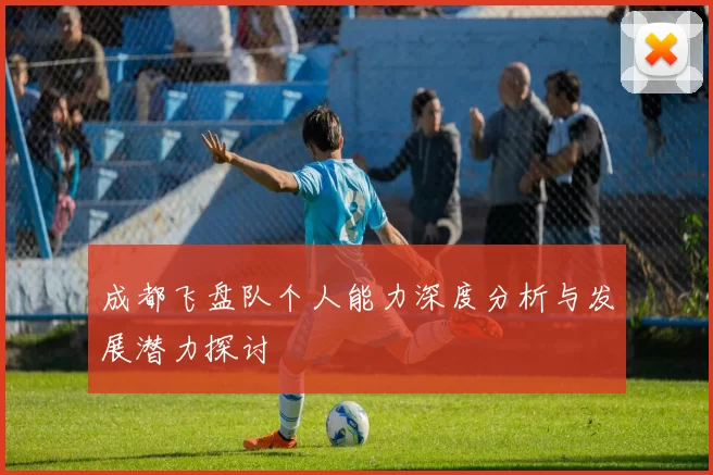 成都飞盘队个人能力深度分析与发展潜力探讨