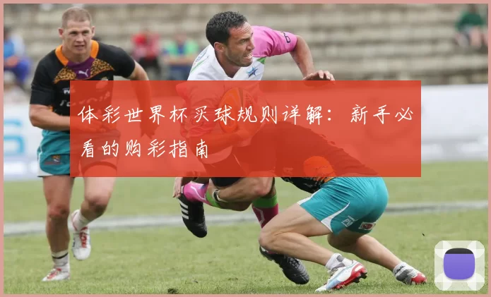 体彩世界杯买球规则详解：新手必看的购彩指南