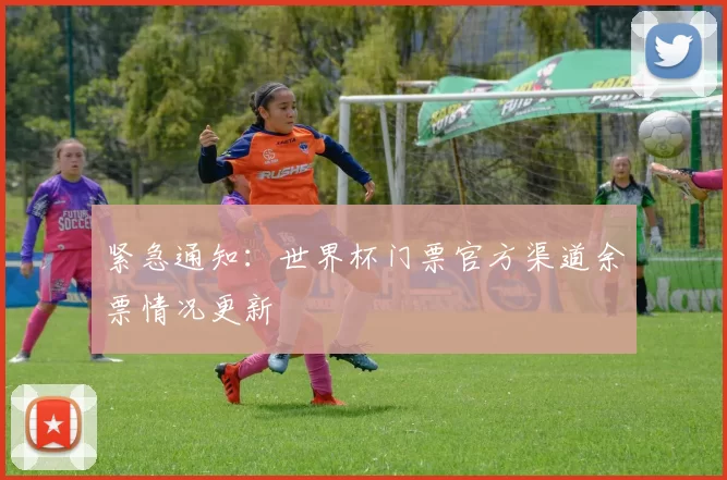 紧急通知：世界杯门票官方渠道余票情况更新