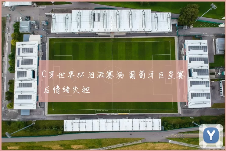 C罗世界杯泪洒赛场 葡萄牙巨星赛后情绪失控