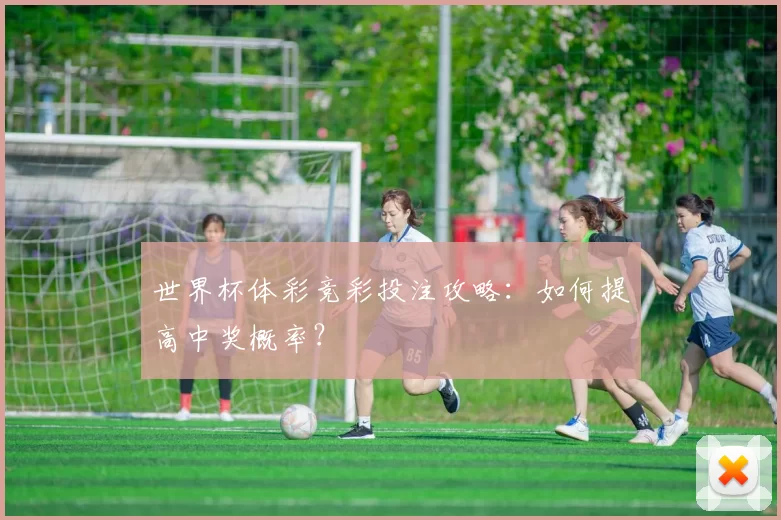世界杯体彩竞彩投注攻略：如何提高中奖概率？