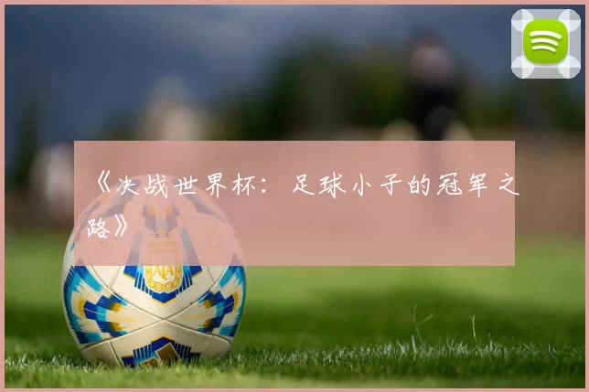 《决战世界杯:足球小子的冠军之路》