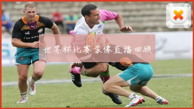世界杯比赛录像直播回顾